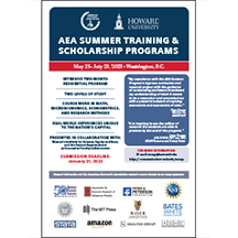 AEA Summer Program Brochure